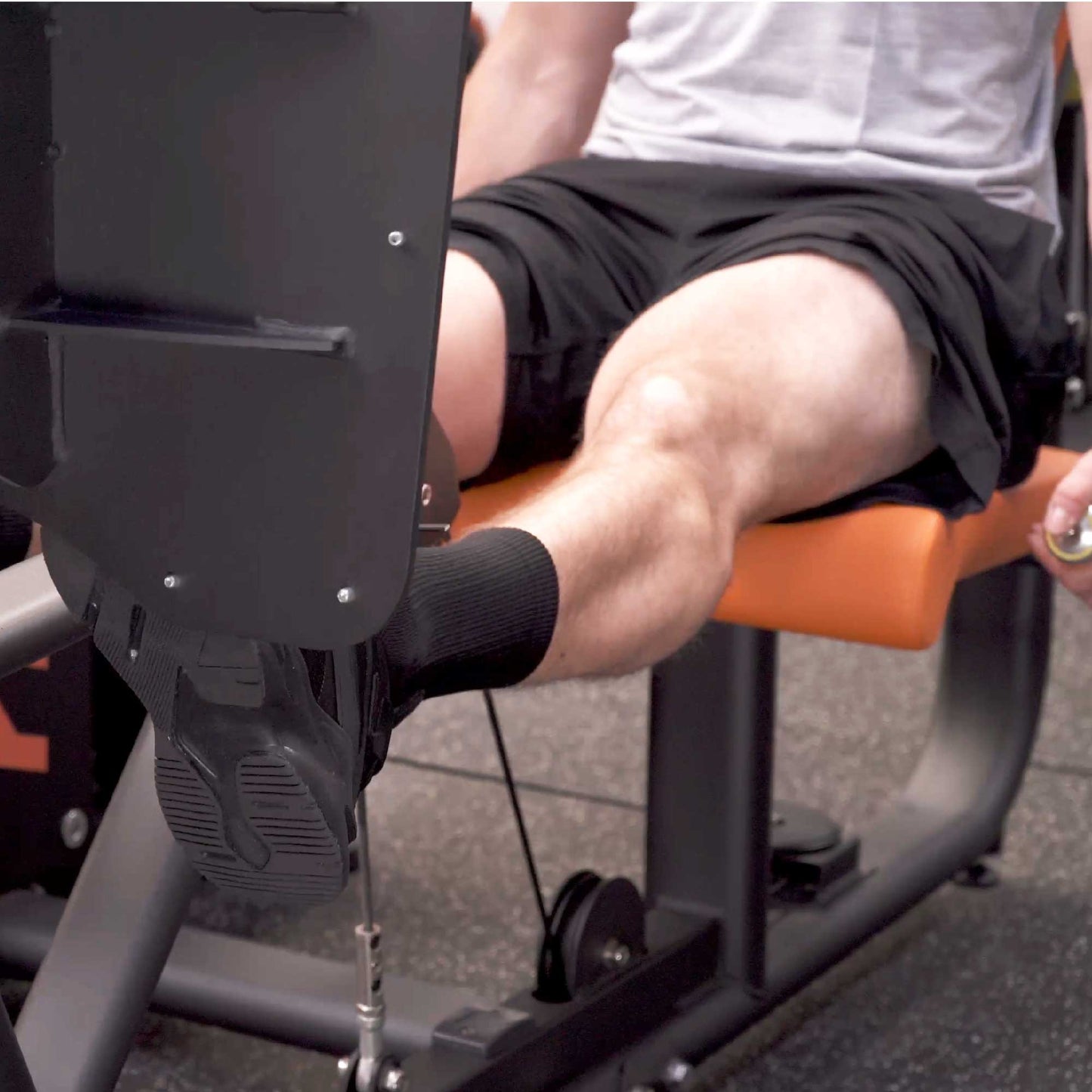 Seated Leg Press Machine