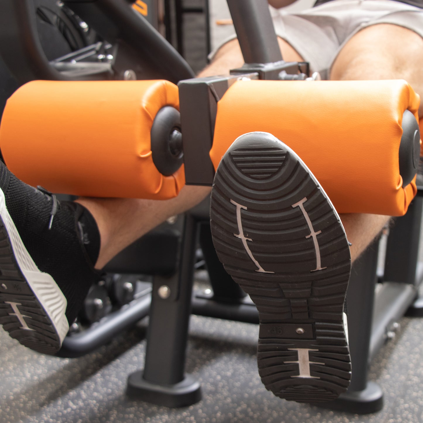 Leg Extension / Curl Machine