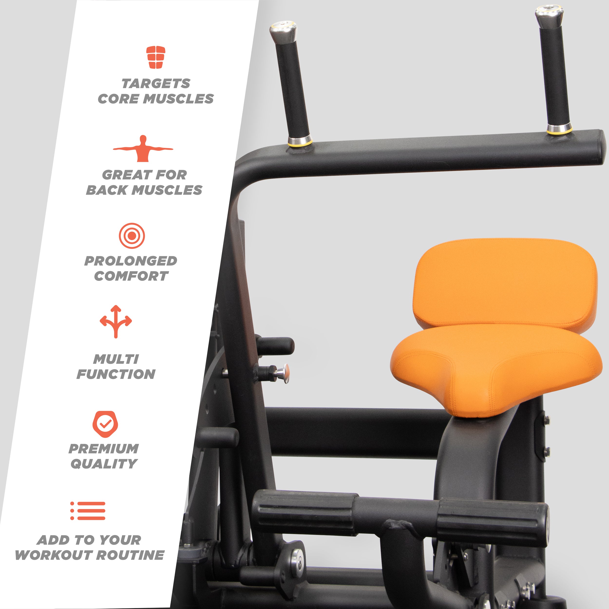 Abdominal / Back Extension Machine – Phoenix Fitness