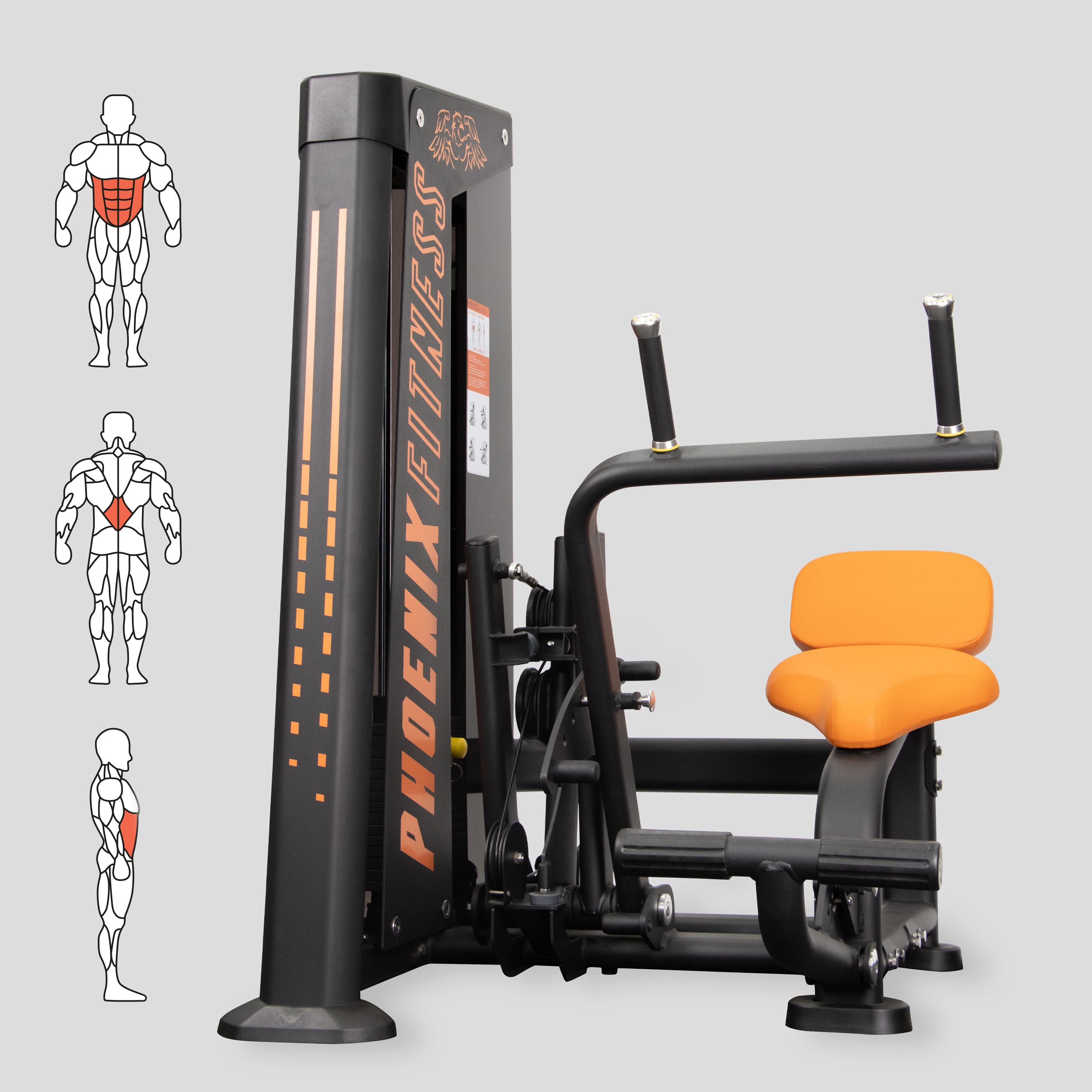 Abdominal / Back Extension Machine – Phoenix Fitness
