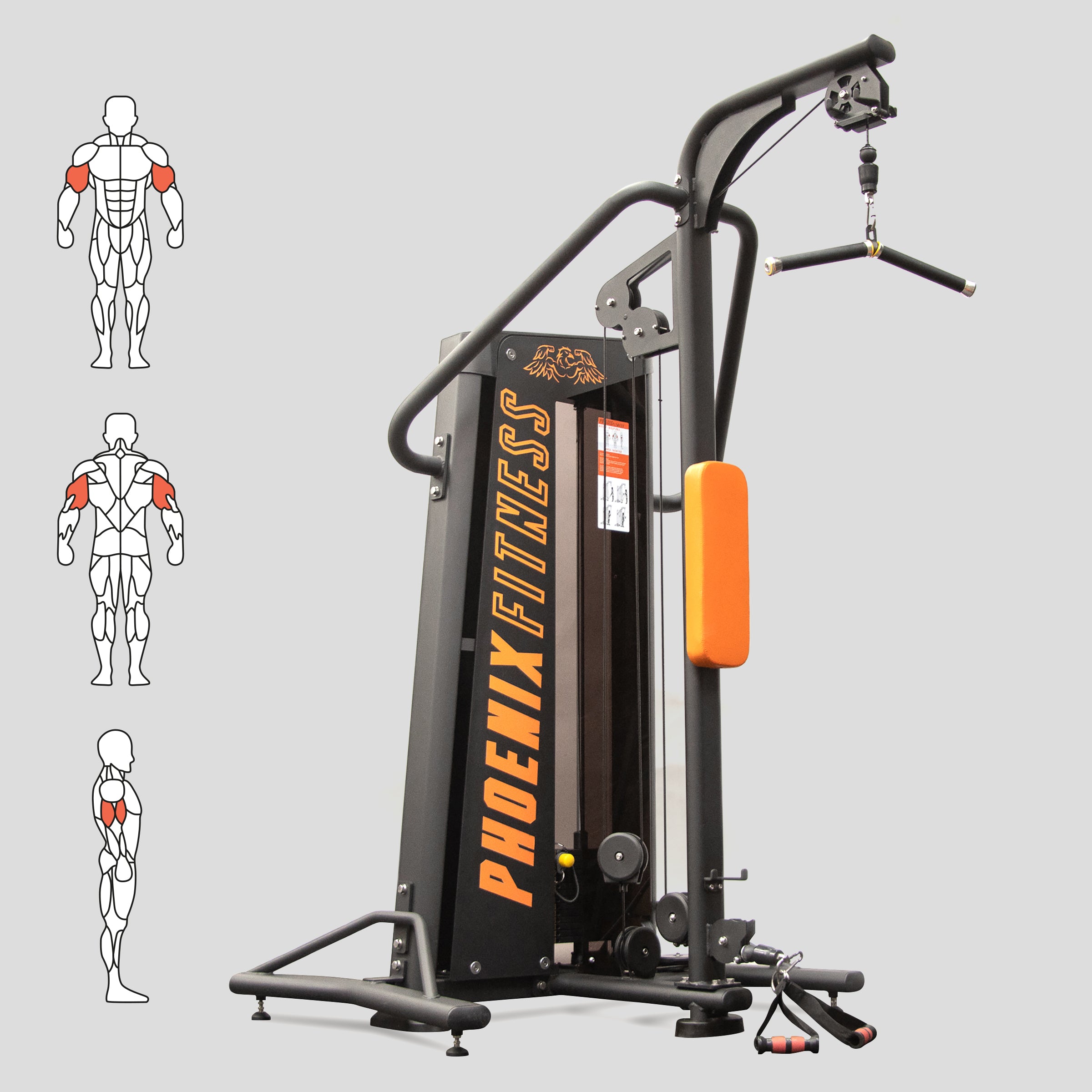 Biceps / Triceps Machine