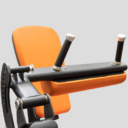Leg Extension / Curl Machine