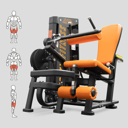 Leg Extension / Curl Machine