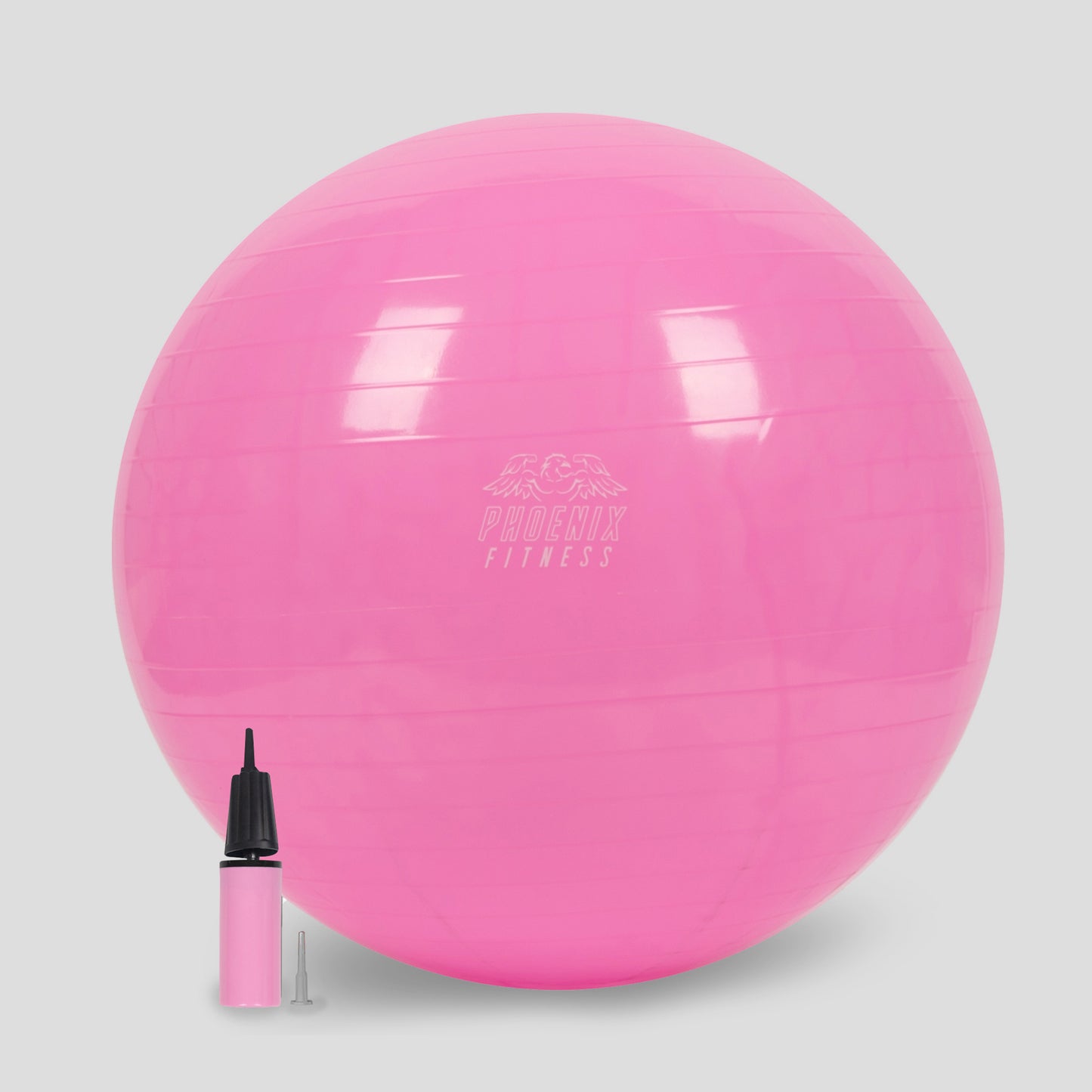 Fit Ball with Pump